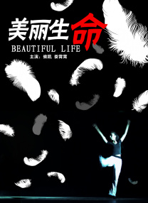 折翅膀的天使